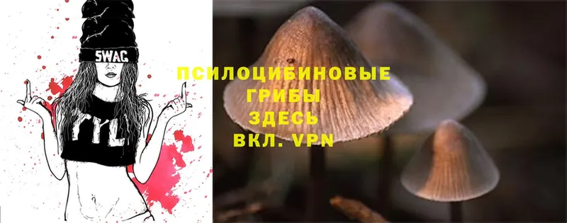 KRAKEN маркетплейс  закладки  Тюмень  Галлюциногенные грибы MAGIC MUSHROOMS 